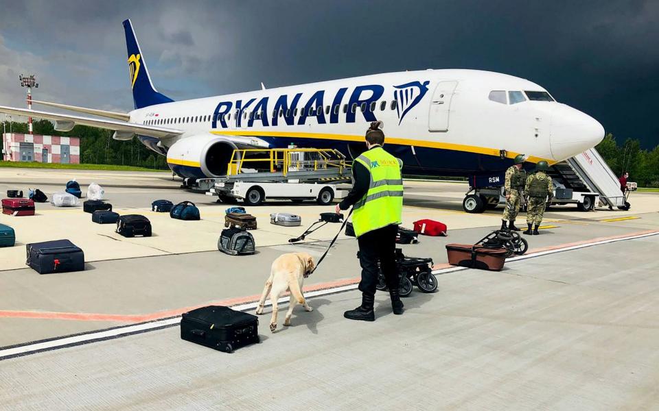 A Belarusian dog handler checks luggage from Ryanair flight FR4978 after it was forced to land in Minsk  -  AFP