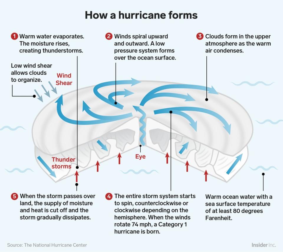 how a hurricane forms inforgraphic