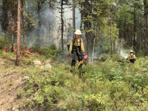 Firefighter using drip torch during firing operation west of Rainy Lake, Friday, July 28.