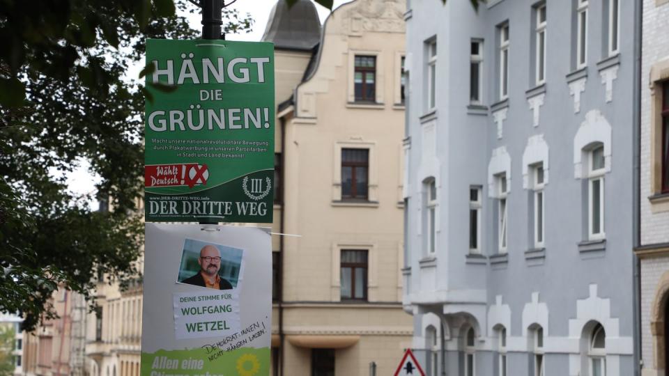 Eines der nun verbotenen Wahlplakate gegen die Grünen in Zwickau.