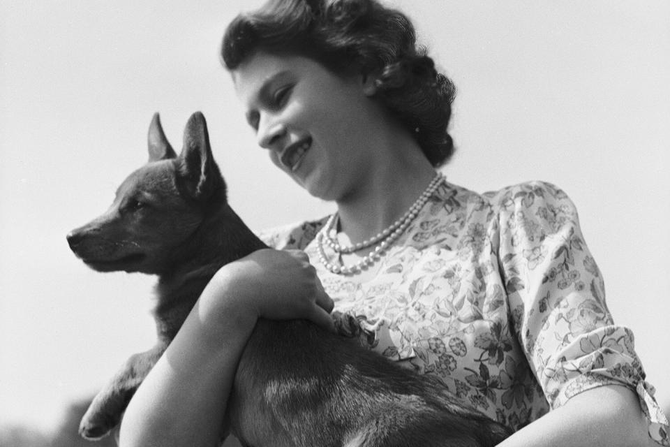 Princess Elizabeth with her pet Corgi Sue or Susan at Windsor Castle, UK, 30th May 1944. (Photo by Lisa Sheridan/Hulton Archive/Getty Images)