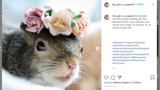 Jill The Squirrel (@this_girl_is_a_squirrel) Instagram