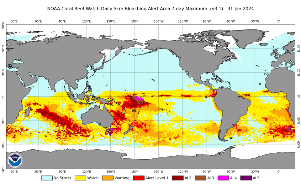 This image shows the coral reef alert levels across the globe, revealing many areas experiencing small amounts of bleaching while others are seeing widespread conditions. / Credit: NOAA Coral reef Watch