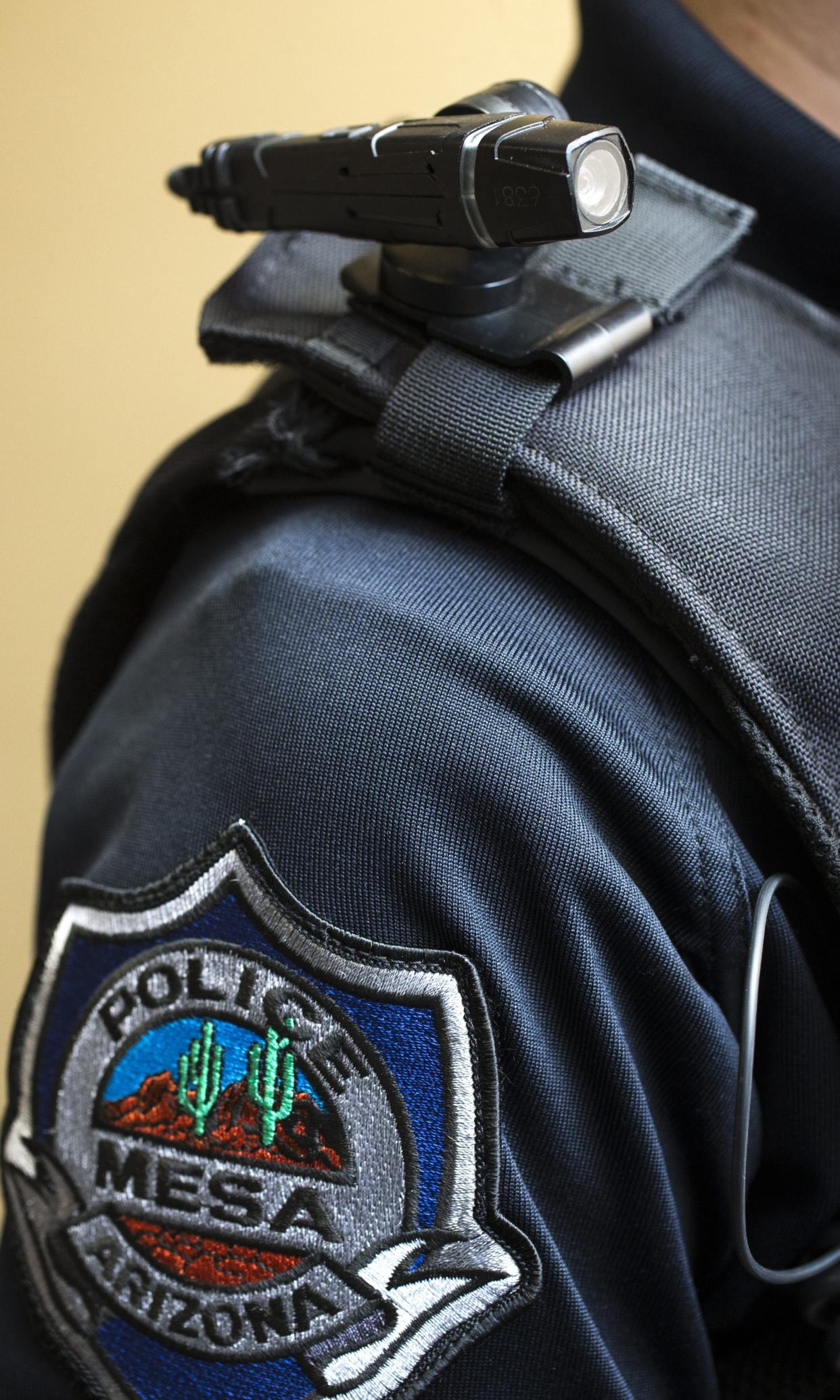 A Mesa Police Department badge is seen here.