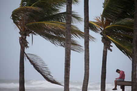 A man sits on a life guard tower as the wind blows at the beach in advance of Hurricane Irma's expected arrival in Hollywood, Florida, U.S., September 9, 2017. REUTERS/Carlo Allegri