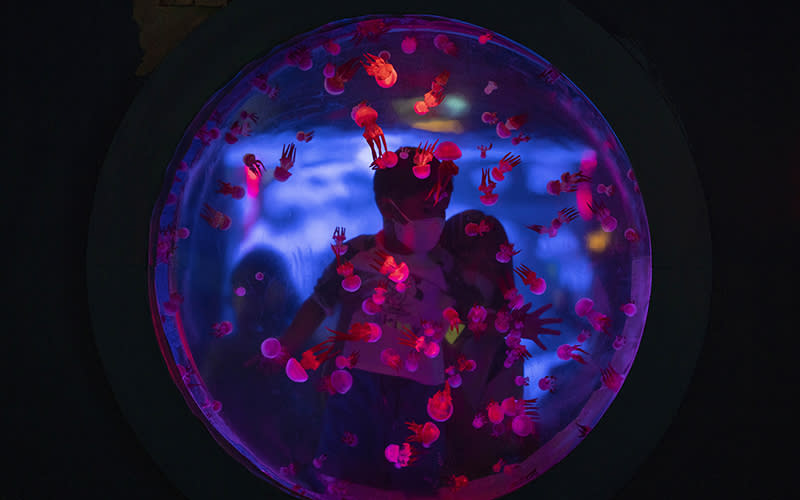 A round tank of jellyfish is lit up pink and blue while children behind the tank look on
