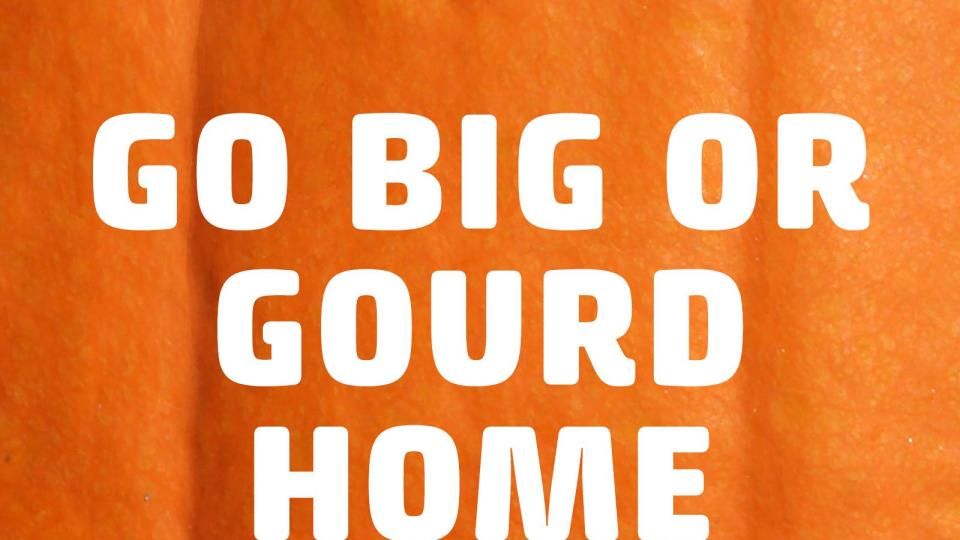 pumpkin puns go big or gourd home