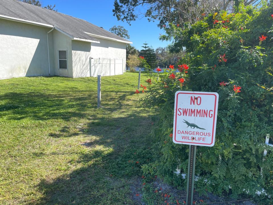 A "no swimming, dangerous wildlife" sign with a photo of an alligator warns residents in a Port Orange, Florida, neighborhood not to swim in the lake. 
If you live in Florida, you likely know you have to coexist with alligators. So long as you keep your distance and never feed one if it crosses your path, you should be fine.