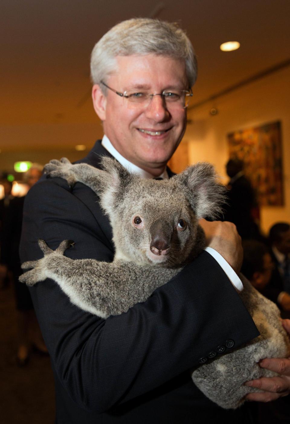 G20 handout photo shows Canada's PM Harper holding a koala before the G20 Leaders' Summit in Brisbane