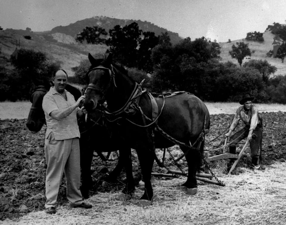 Helping Elvis Presley, right, cut a straight furrow is his business manager and confidant, “Colonel” Tom Parker of Madison, Tenn. on January 7, 1957. Scene is from the set of the Presley movie, “Love Me Tender.” - Credit: ASSOCIATED PRESS