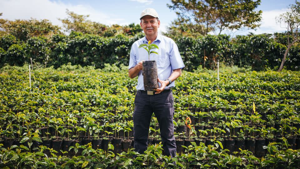 Starbucks director of global agronomy, Carlos Mario Rodriguez at the Hacienda Alsacia coffee farm. - Joshua Trujillo/Starbucks