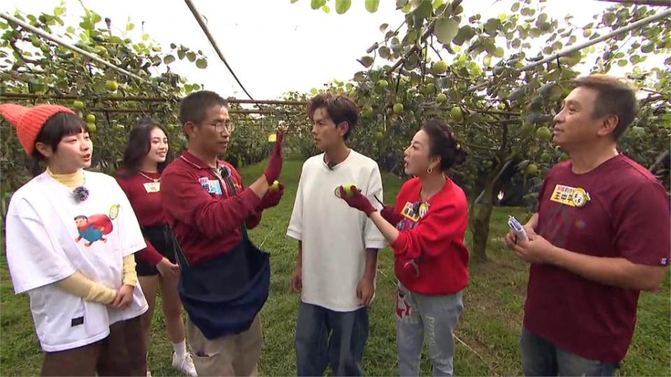 一日棗農！王中平一度吃不到發飆　阿翔調侃「老人家等不得」