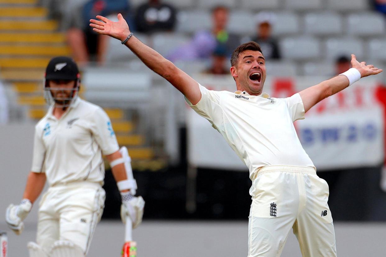 Shout about it: James Anderson successfully appeals after trapping Kane Williamson, the only wicket to fall on a rain-hit day in Auckland: REUTERS