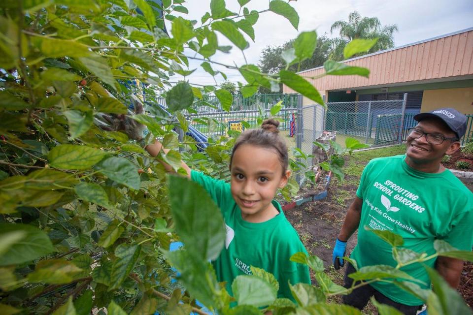 Zoey Ramos and Jesses Vieux work in the garden at Charles R. Hadley Elementary on Sept. 23, 2023.