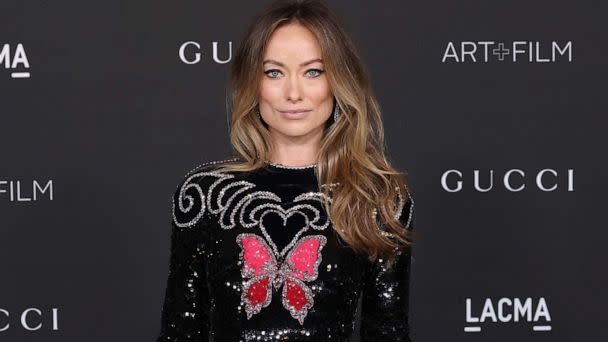 PHOTO: Olivia Wilde at Los Angeles County Museum of Art on Nov. 6, 2021 in Los Angeles. (Taylor Hill/WireImage via Getty Images, FILE)