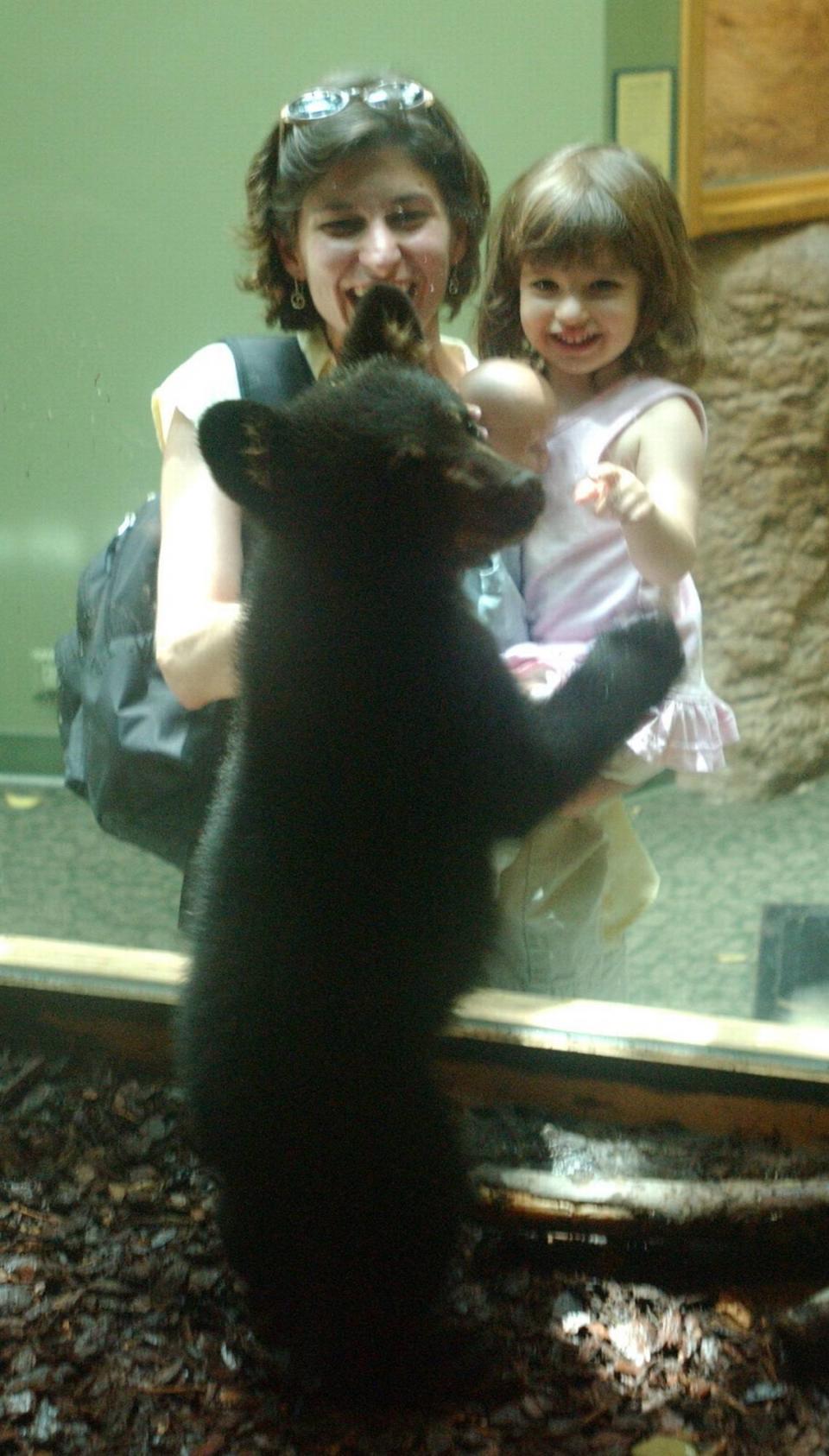 Virginia, a 20-pound, 4-month-old black bear cub met the public for the first time June 13, 2005, at the Museum of Life & Science in Durham, North Carolina. The museum held an online contest to name the bear cub.
