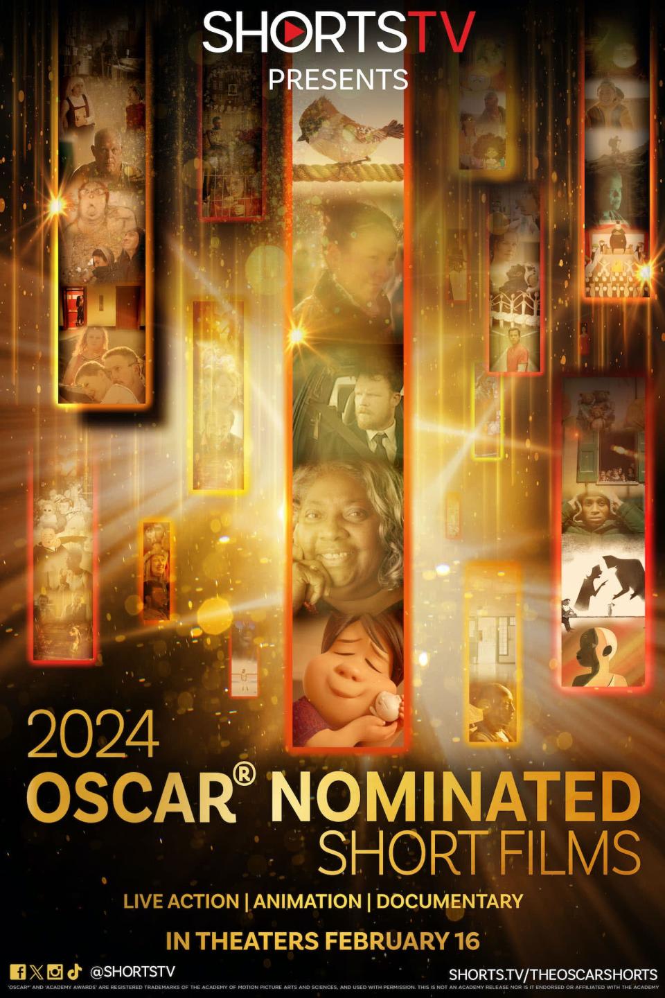 The 2024 Oscar-nominated shorts in live action, animation and documentary films will show Tuesday at the Bama Theatre.