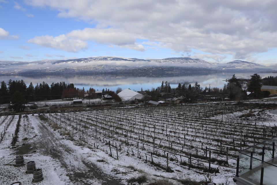 The Summerhill Pyramid Winery is visible in Kelowna, British Columbia, on Feb. 12, 2024, with Okanagan Lake in the background. Home to more than 180 licensed grape wineries and known as “the wine capital of Canada,” the Okanagan Valley is also nationally renowned for fruit orchards that produce apples, peaches and cherries. (Aaron Hemens/IndigiNews via AP)