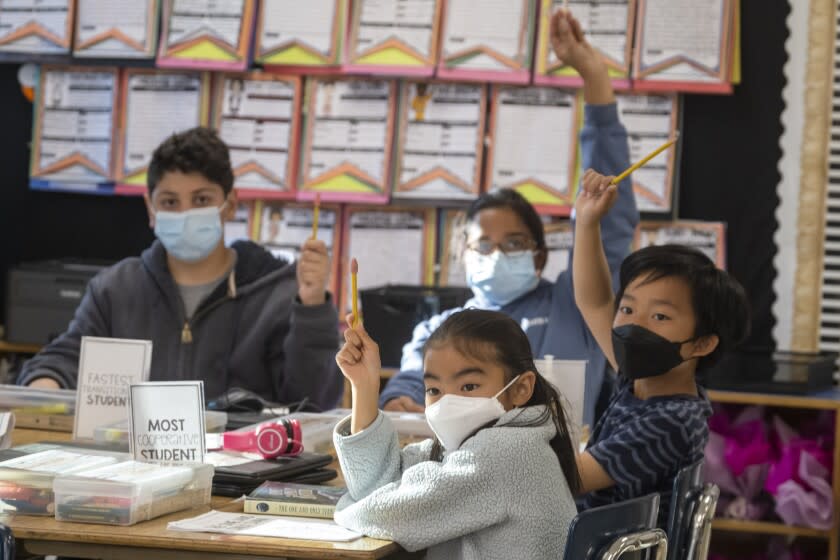 WEST HILLS , CA - MARCH 23: Forth grade student Emily Yep, middle, and John Do, right, raise their hands during class at Pomelo Community Charter School, a K-5 school, on Wednesday, March 23, 2022 in West Hills , CA. Today is the first day Los Angeles Unified School District students will no longer be required to wear a mask indoors. (Francine Orr / Los Angeles Times)