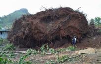 A man stands next to the upturned roots of a tree that was toppled during storms brought on by Super Typhoon Maysak on the island of Weno, in the Micronesian state of Chuuk, on March 29, 2015