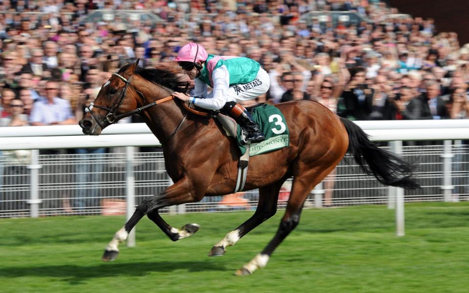 Frankel ridden by Tom Queally wins the Juddmonte International Stakes during day one of the 2012 Ebor Festival at York Racecourse. - Anna Gowthorpe/PA Wire