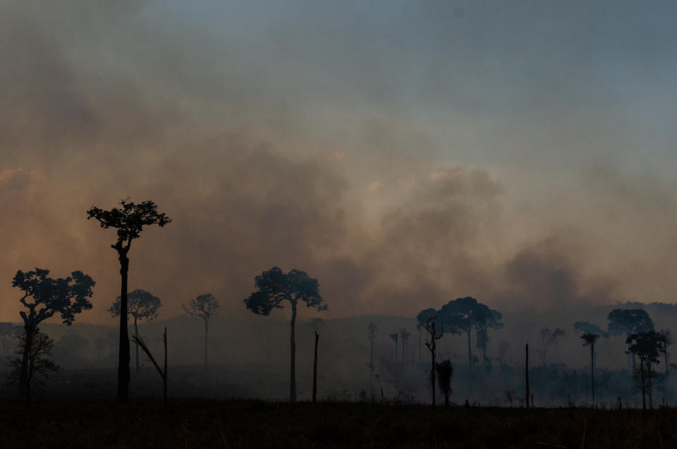 In Brasilien wüten im August die schwersten Waldbrände seit Jahren. Nach Angaben der brasilianischen Weltraumagentur INPE nahm die Zahl der Feuer und Brandrodungen im größten Land Südamerikas im Vergleich zum Vorjahreszeitraum seit Januar um 82 Prozent zu. (Bild: Getty Images)