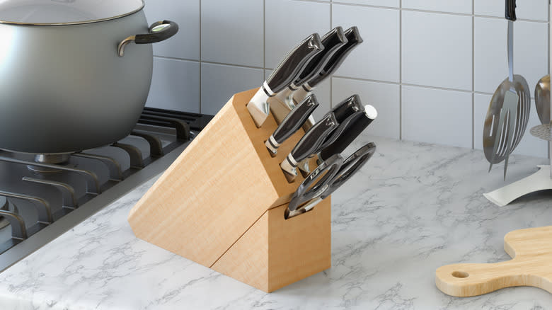 steak knife block on counter