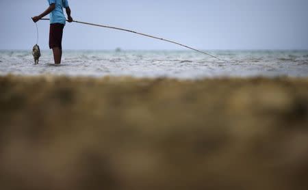A boy adjusts his catch while fishing on the east coast of Natuna Besar July 7, 2014. REUTERS/Tim Wimborne/Files