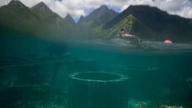 Imagen de los cimientos para la construcción de una torre que se utilizará durante las pruebas de surf de los Juegos de París 2024, en Tahití.