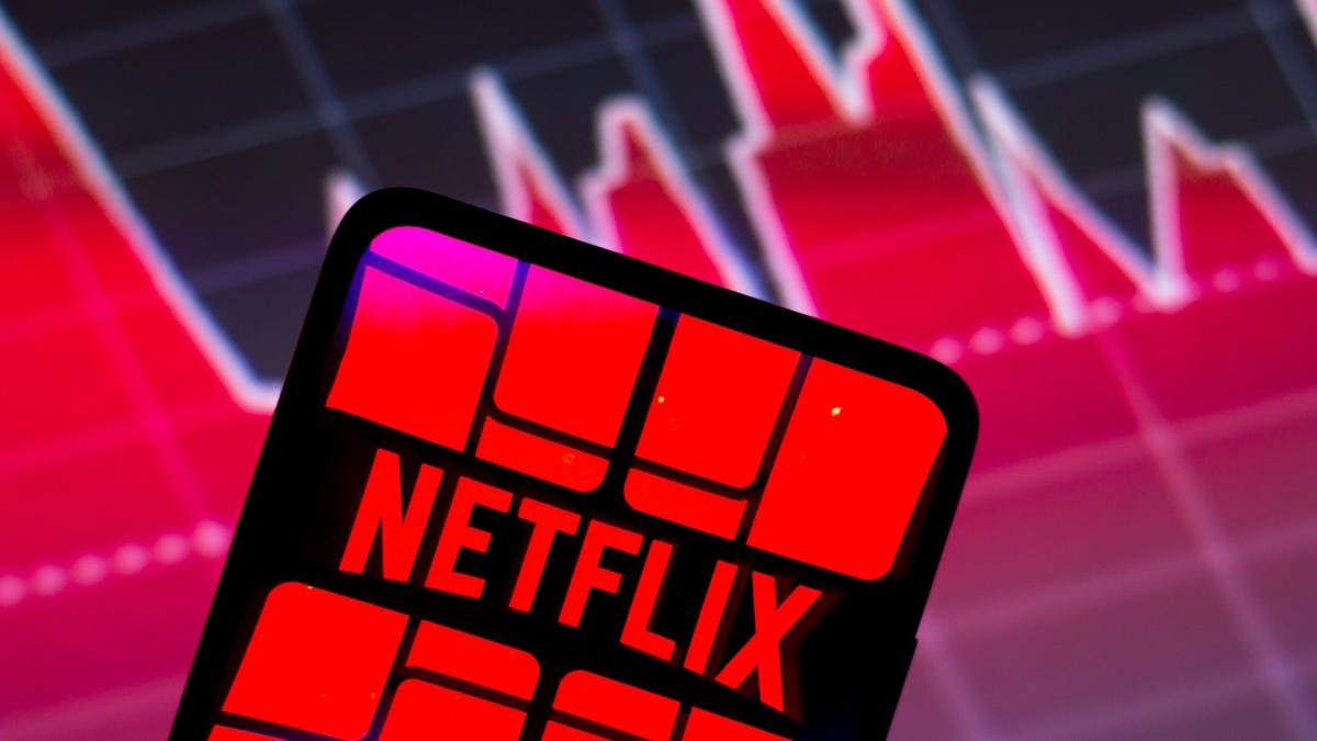 Netflix Sued by Shareholders for Securities Fraud Over Subscriber