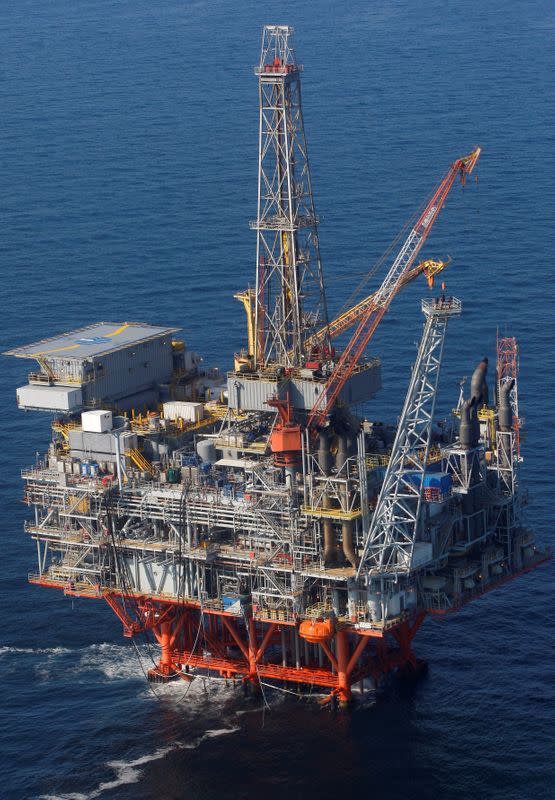 FILE PHOTO: The Petronius oil platform is seen from the air, located 100 miles off the coast of New Orleans in the Gulf of Mexico