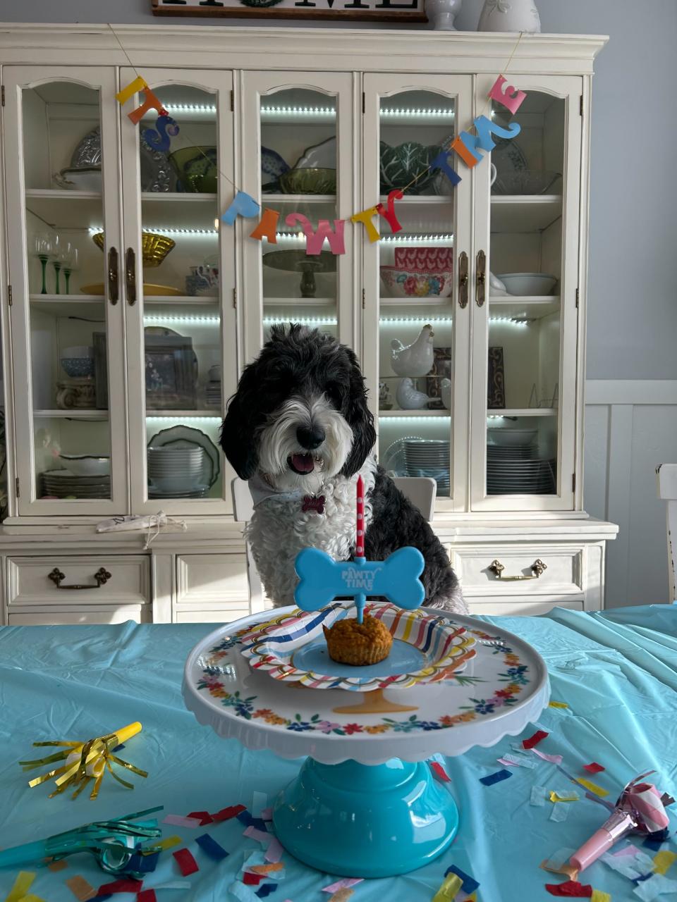 Nala celebrates her third birthday on June 21 with a doggy treat and decorations. It was a real “pawty.”