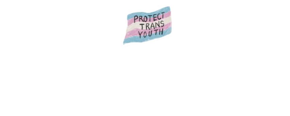 trans flag