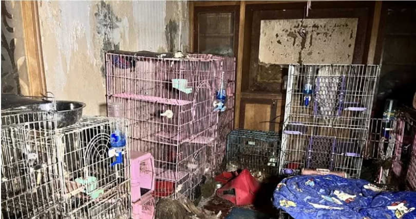 桃園市動保處在李女租屋處發現20多具貓狗乾屍。（圖／桃市動保處提供）