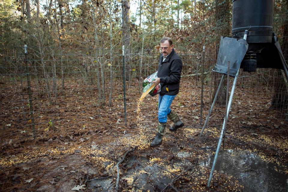 A man in a black jacket spreads pig feed near a fence in the woods