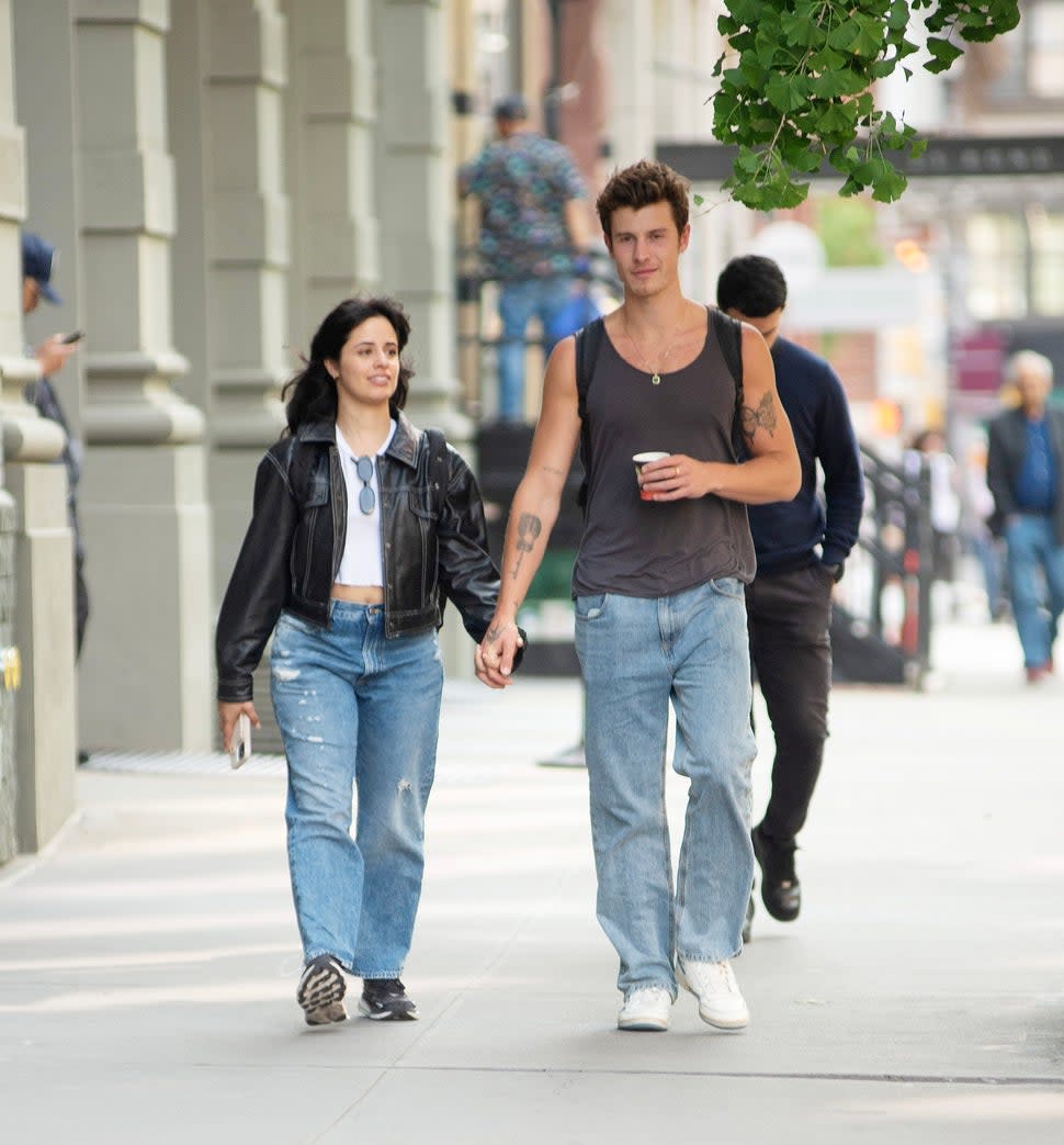 Shawn Mendes and Camila Cabello