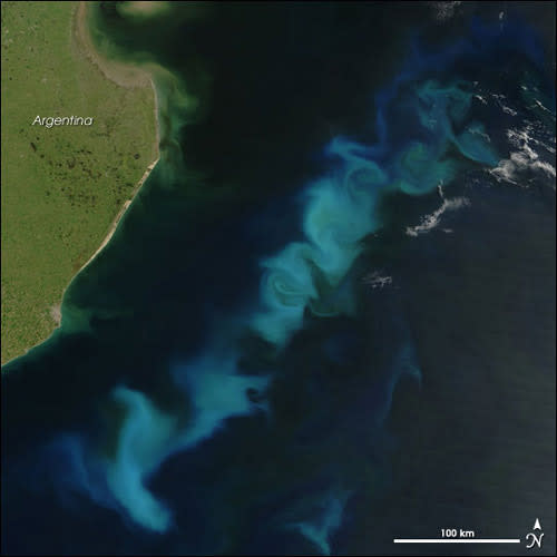 Researchers used samples from the Sargasso Sea and coastal Oregon waters, finding four new viruses that killed the most abundant bacteria in the oceans (SAR11) in lab experiments. Here, a phytoplankton bloom in the South Atlantic Ocean.