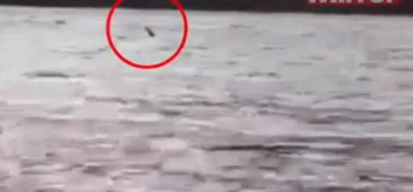 Is this the Loch Ness Monster? New videos captures 'Nessie'