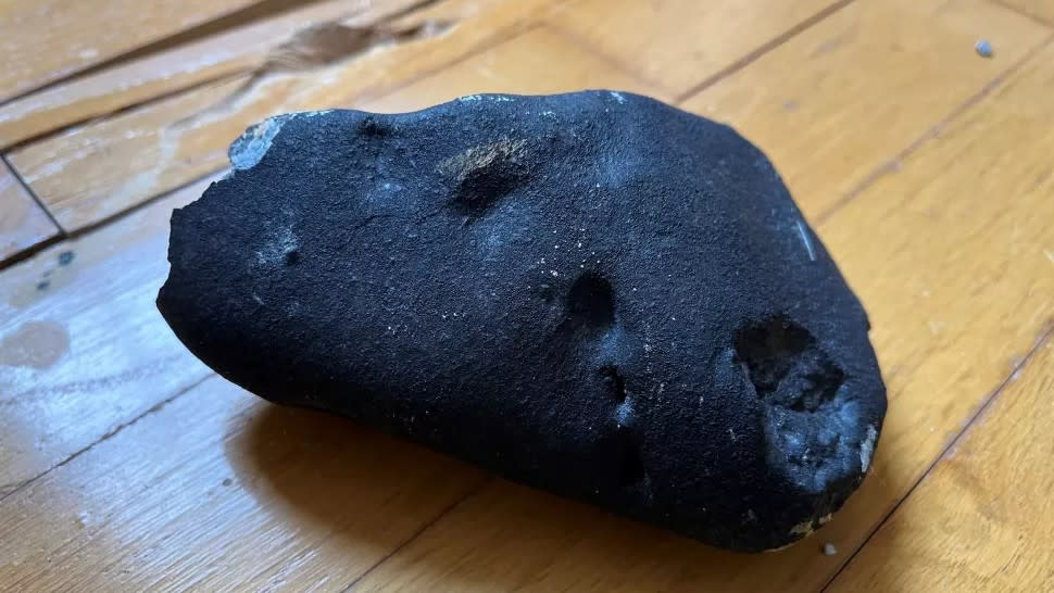  A black rock with pock marks sits inside on a hard wood floor. 