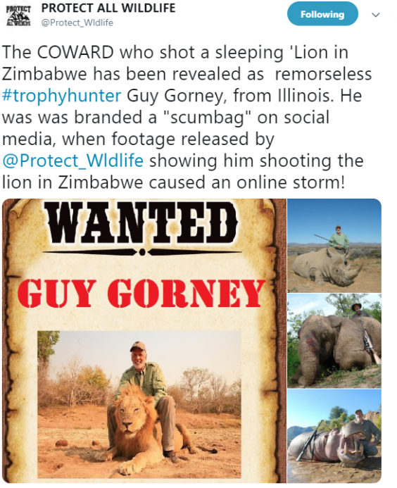 Calls for hunter who shot sleeping lion to be tracked down and punished in outpouring of fury