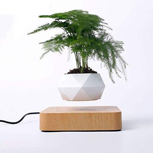 9) Babook Levitating Bonsai Pot