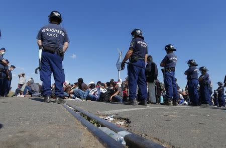 Hungarian policemen watch migrants near a collection point in Roszke village, Hungary September 9, 2015. REUTERS/Laszlo Balogh