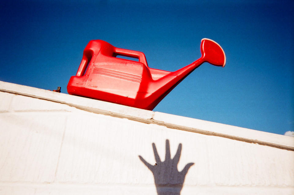 A shadow hand reaches up towards a bright red watering can. (Cafe Art/SWNS)