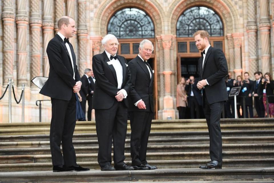 Prince Harry Joins William and Charles for Netflix Premiere