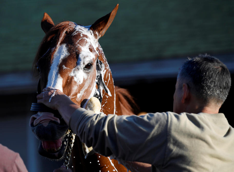 Kentucky Derby hopeful Justify receives a bath after morning workouts at Churchill Downs on Tuesday. (Reuters)