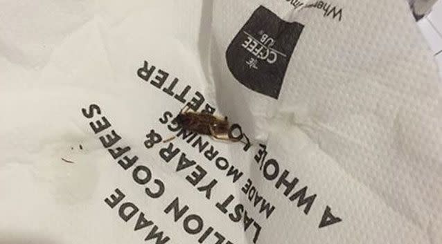 A Sydney mum's photo of the cockroach her daughter spat out. Photo: Facebook