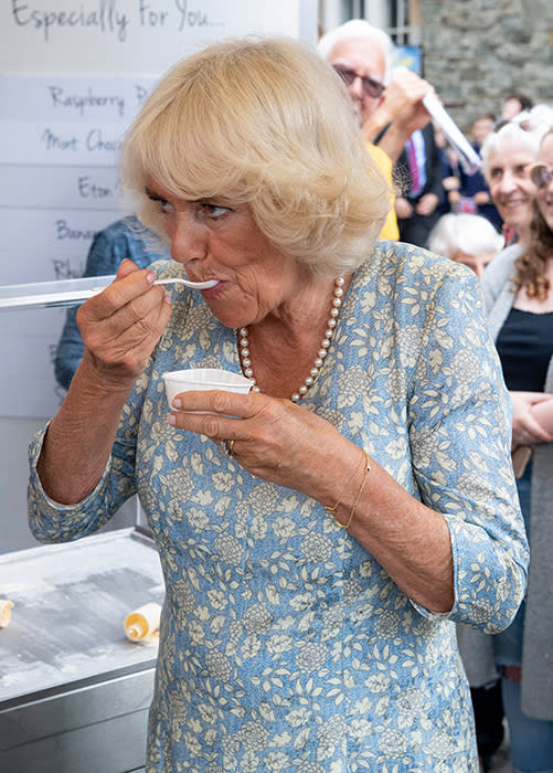 camilla-tub-icecream