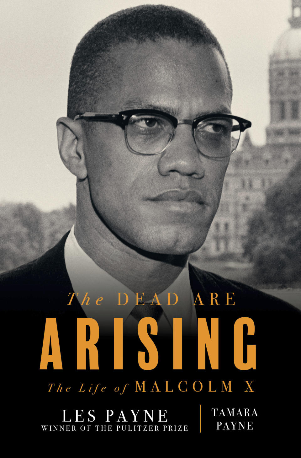 This cover image released by Liveright shows "The Dead Are Arising" co-authored by Tamara Payne and her father Les Payne, winner of the Pulitzer Prize for Biography. (Liveright via AP)