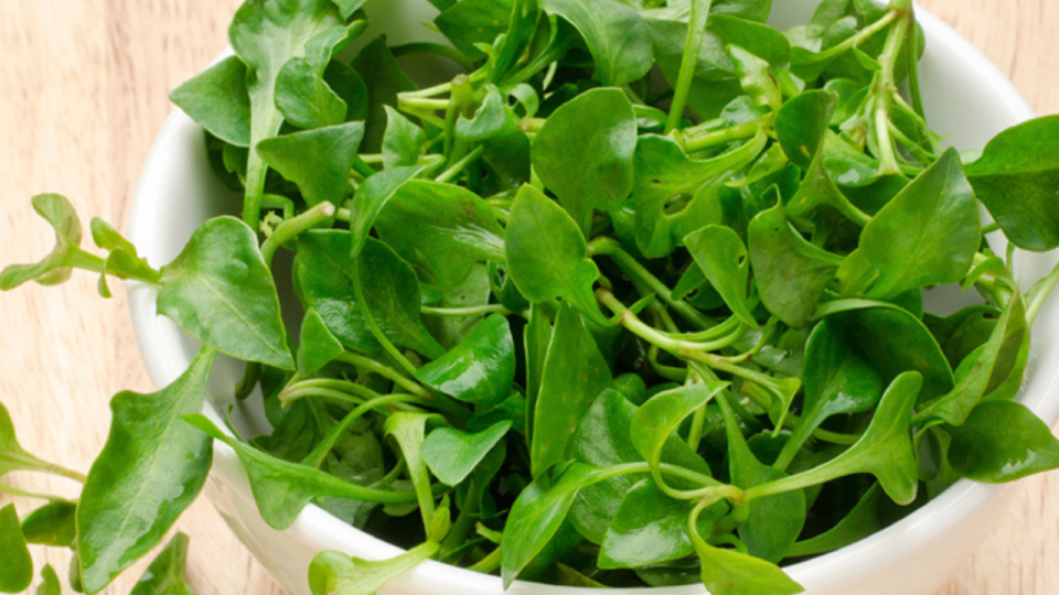 watercress in a bowl