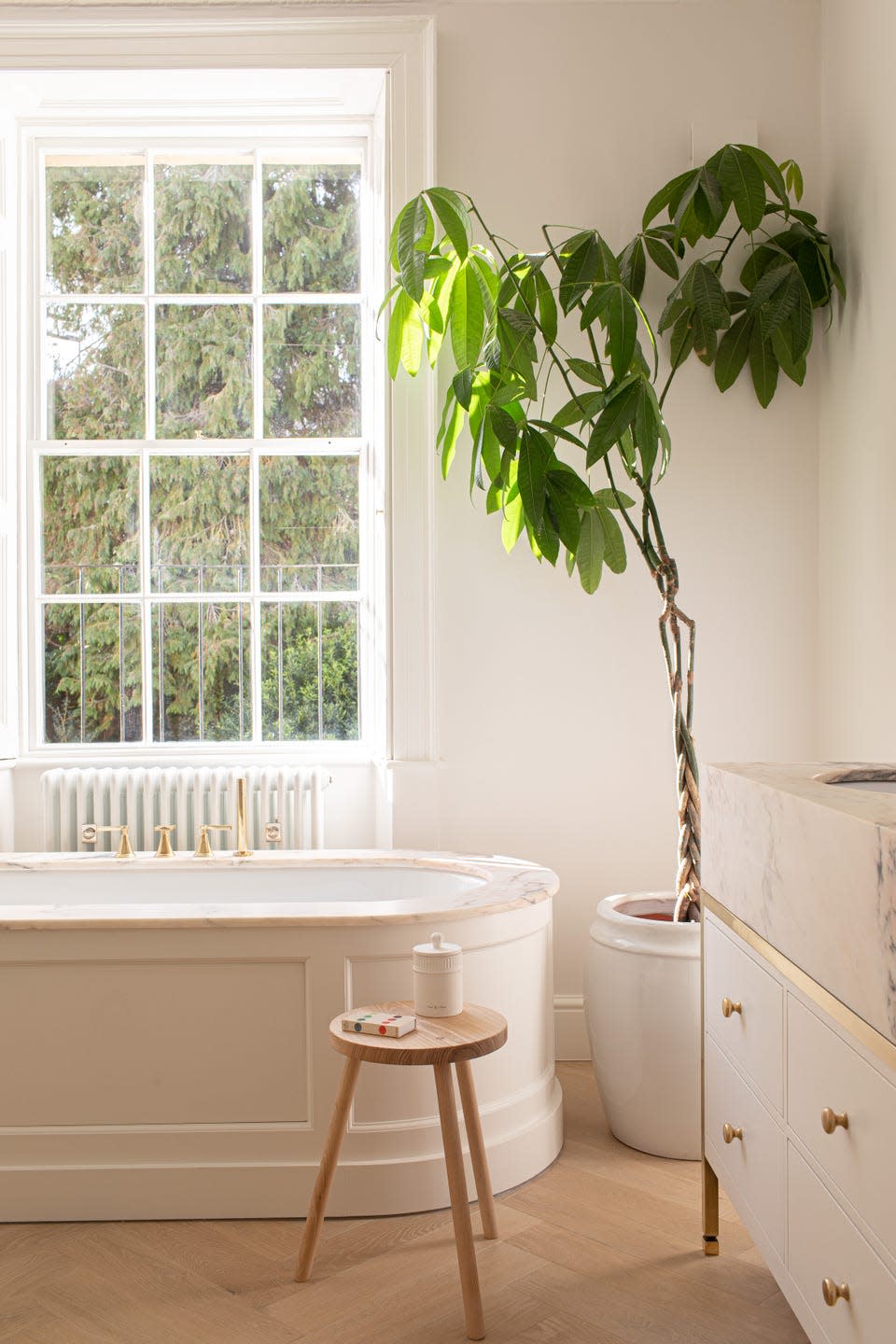 freestanding bathtub and parquet floor and a potted tree in a bathroom